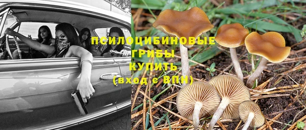 ГАЛЛЮЦИНОГЕННЫЕ ГРИБЫ Абинск