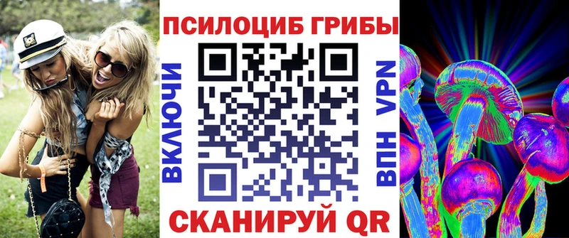 дарнет шоп  Нюрба  Псилоцибиновые грибы Psilocybine cubensis 