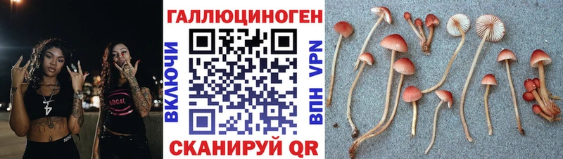 Псилоцибиновые грибы мицелий Нюрба